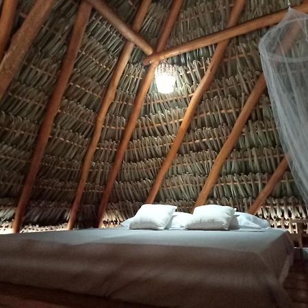 Cabana Magica & Yoga Ekbalán Екстериор снимка